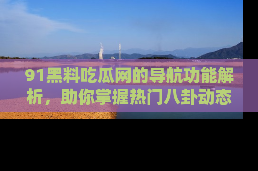 91黑料吃瓜网的导航功能解析，助你掌握热门八卦动态