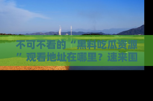 不可不看的“黑料吃瓜资源”观看地址在哪里?速来围观吧!