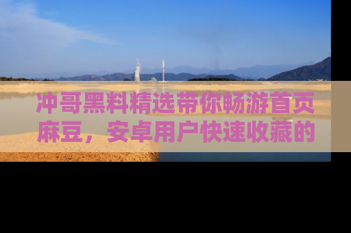 冲哥黑料精选带你畅游首页麻豆，安卓用户快速收藏的秘密武器！