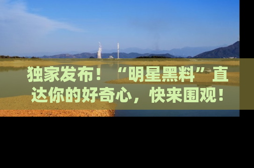 独家发布!“明星黑料”直达你的好奇心,快来围观!