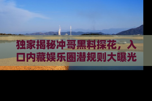 独家揭秘冲哥黑料探花,入口内藏娱乐圈潜规则大曝光