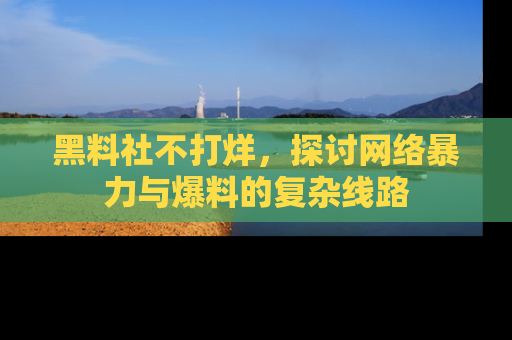 黑料社不打烊，探讨网络暴力与爆料的复杂线路