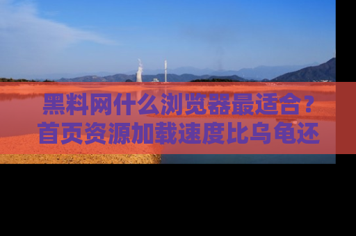 黑料网什么浏览器最适合？首页资源加载速度比乌龟还慢的体验真心吐槽！