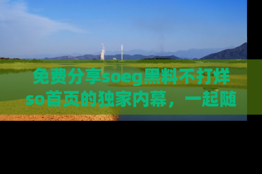 免费分享soeg黑料不打烊so首页的独家内幕,一起随时吃瓜吧!