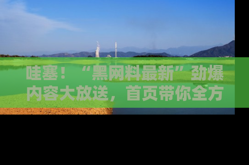 哇塞！“黑网料最新”劲爆内容大放送，首页带你全方位了解哦，小可爱们