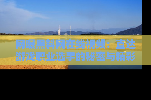网曝黑料网在线视频:直达游戏职业选手的秘密与精彩动漫片段!