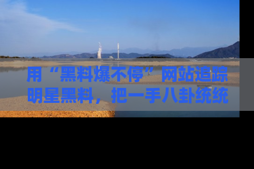 用“黑料爆不停”网站追踪明星黑料，把一手八卦统统收进你的后宫中！