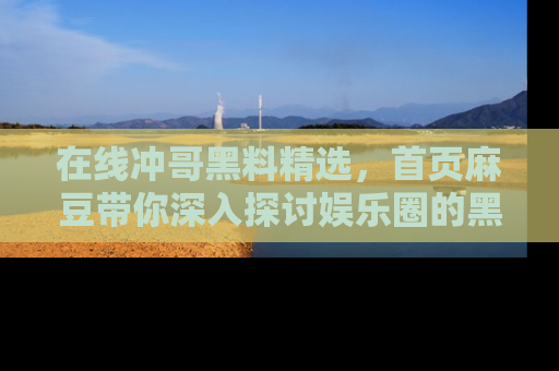 在线冲哥黑料精选,首页麻豆带你深入探讨娱乐圈的黑暗面