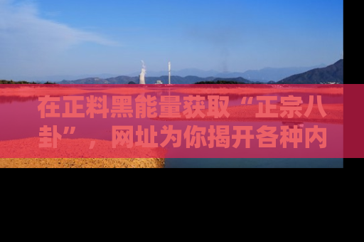 在正料黑能量获取“正宗八卦”,网址为你揭开各种内幕故事!