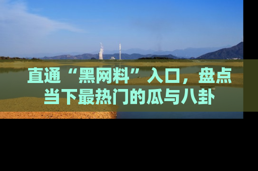 直通“黑网料”入口,盘点当下最热门的瓜与八卦