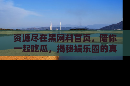 资源尽在黑网料首页,陪你一起吃瓜,揭秘娱乐圈的真实内幕